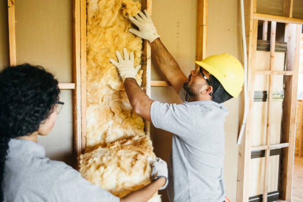 Best Blown-in Insulation  in Swede Heaven, WA